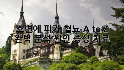 🩸 소변에 피가?! 혈뇨 A to Z 완벽 분석 (원인, 증상, 치료)